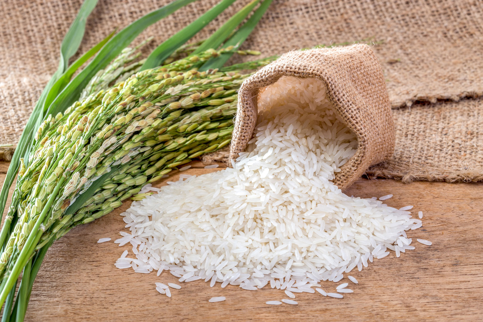 Riz, recettes, vidéos et dossiers sur riz - Cuisine Actuelle